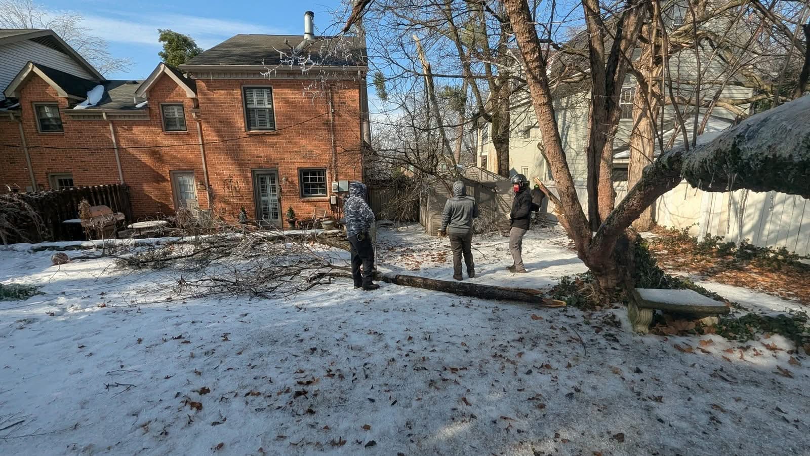 Three crew members standing around a downed limb in an ice-crusted backyard between two houses