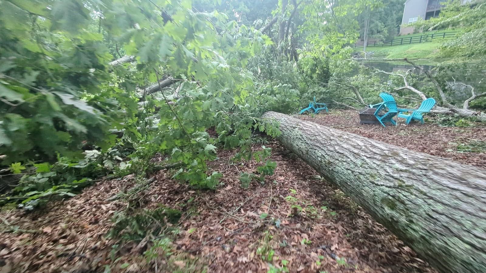 Storm-fallen oak lying across a backyard next to fire pit chairs in Cumming GA, June 2025