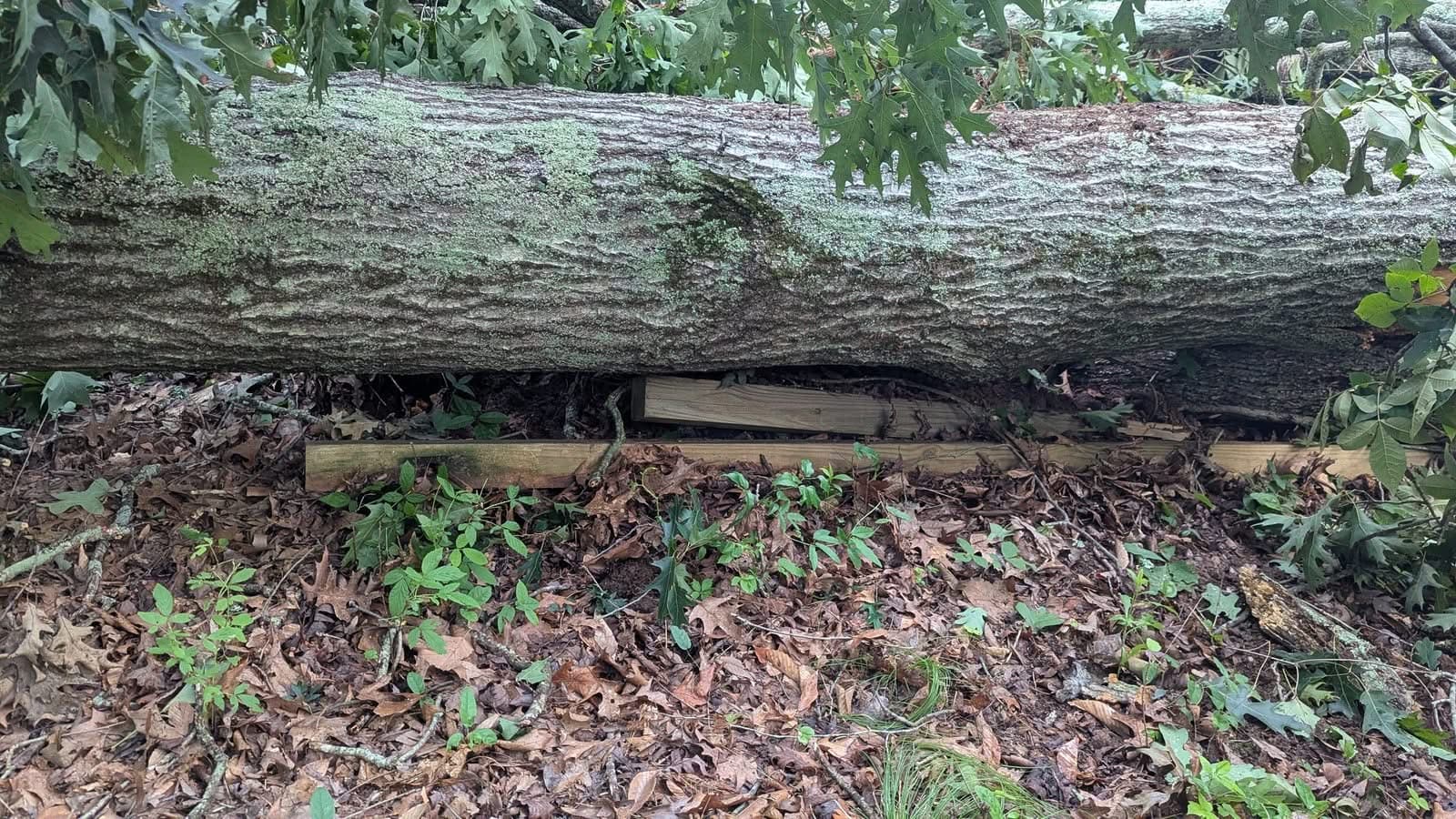 Large oak trunk lying on crushed wooden fence rails in Cumming GA, June 2025