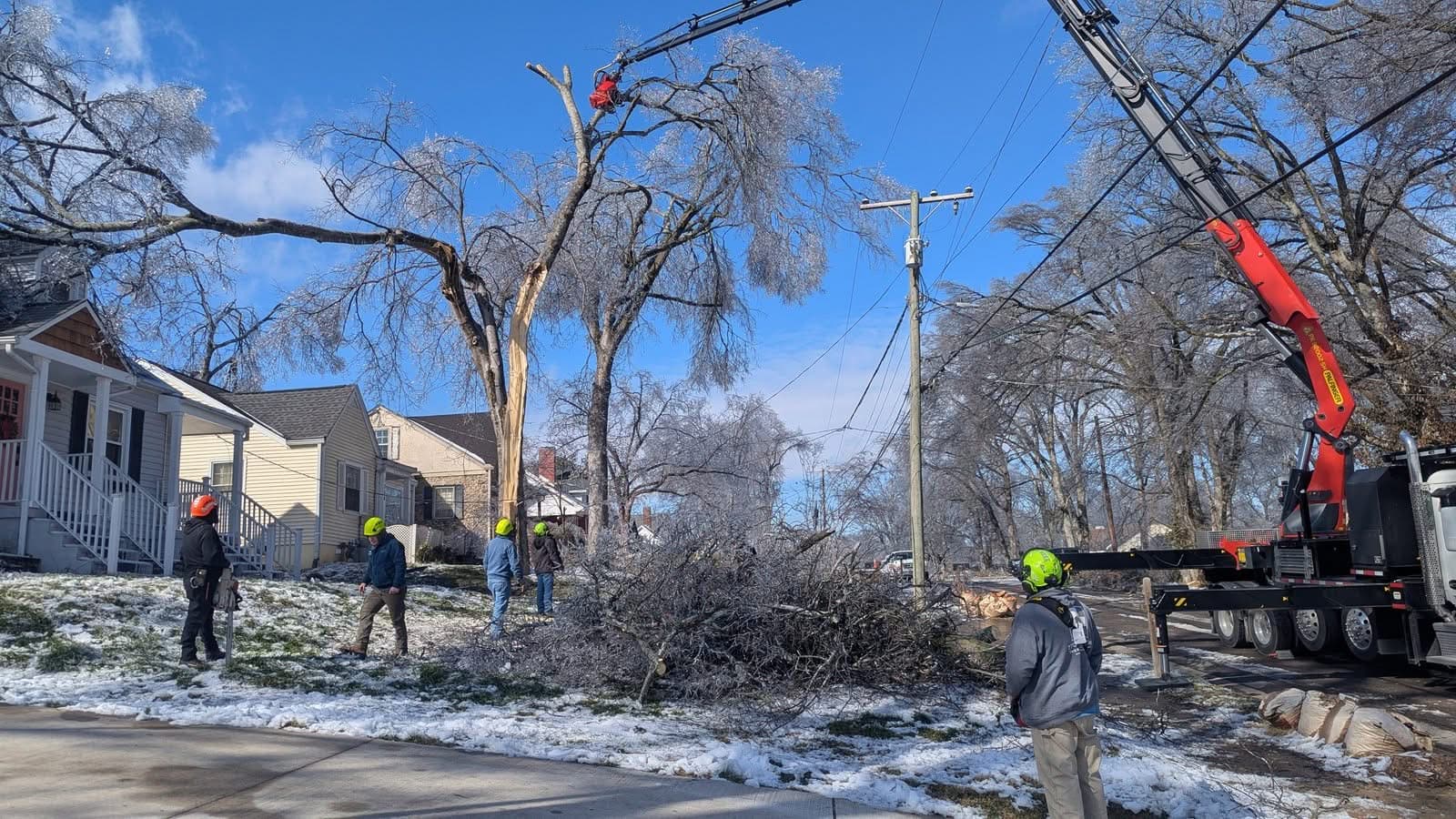 Red Palfinger grapple-saw crane gripping the top of a storm-split, ice-covered tree while the crew stands clear of a brush pile