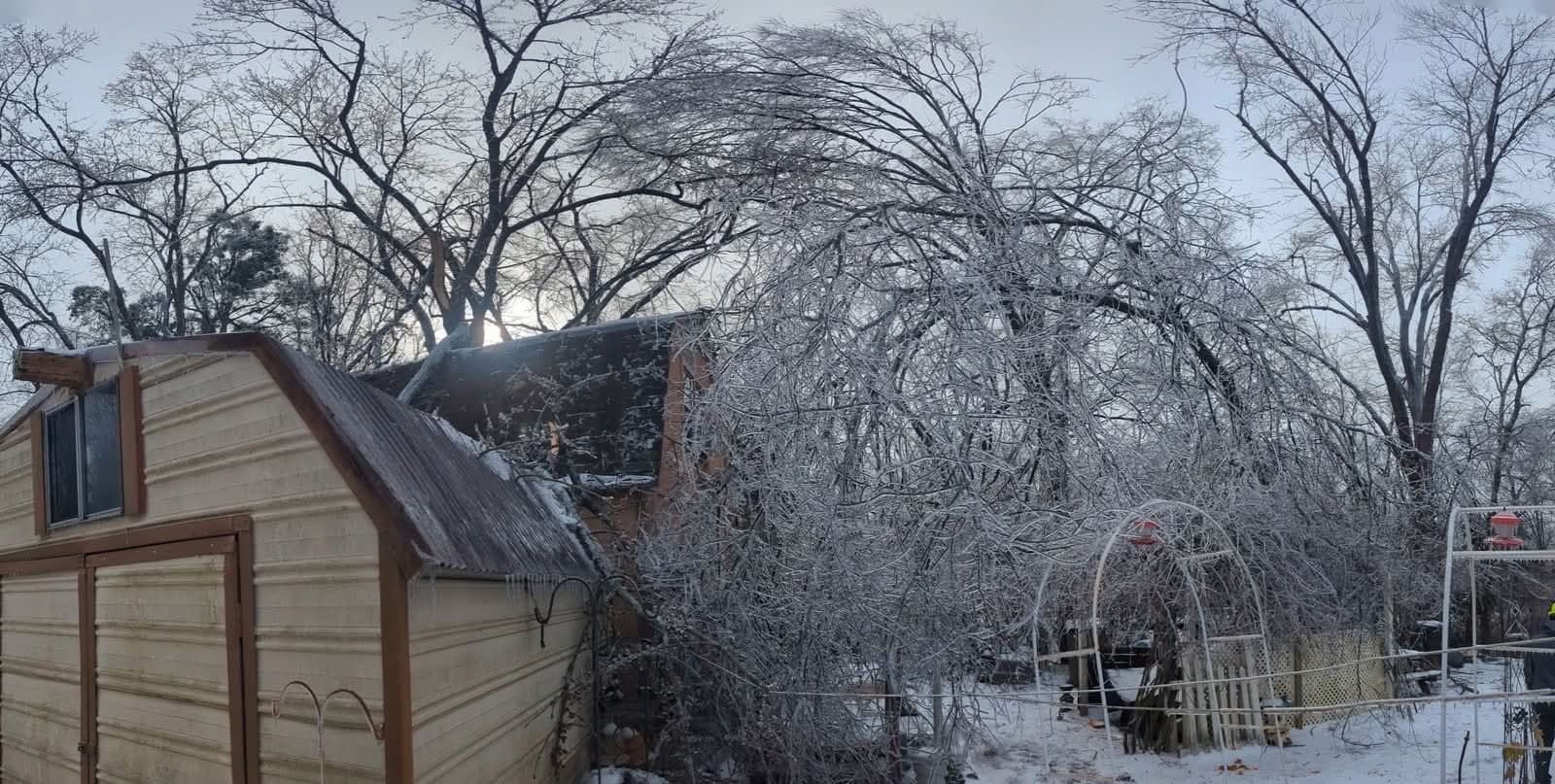 Ice-covered trees bowed low over a backyard shed, icicles hanging from the shed roof edge