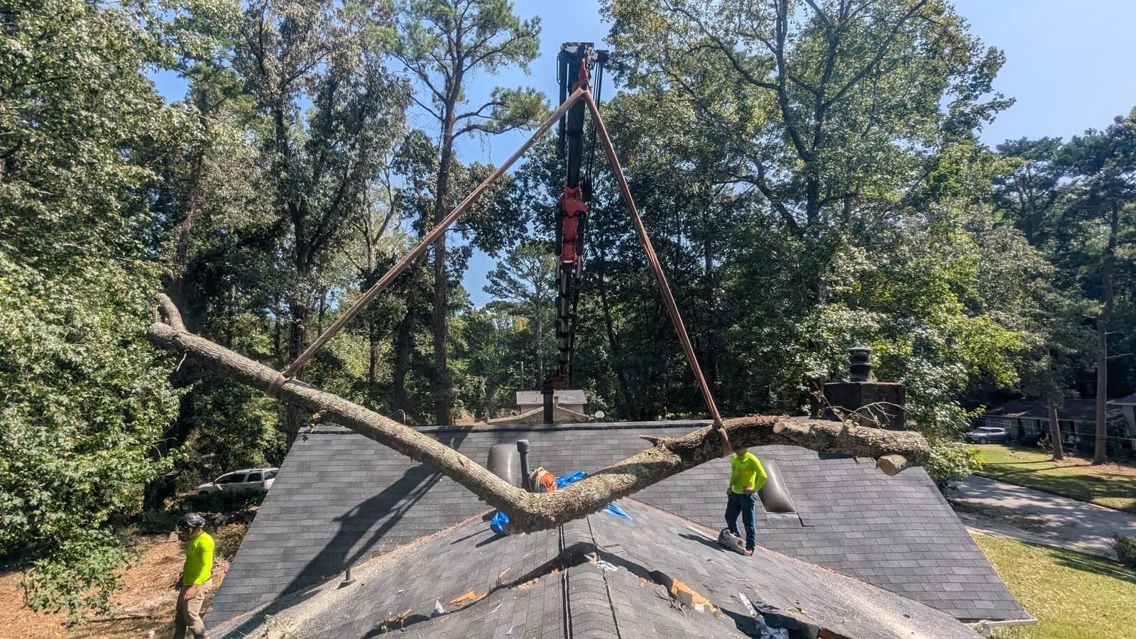 Crew and grapple-saw crane removing a limb speared through a shingle roof during storm tree removal