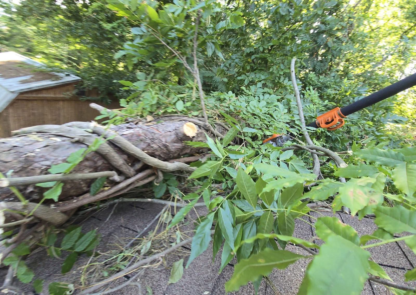 Storm-fallen tree lying across a roof as pole saw work begins in Marietta GA, July 2025