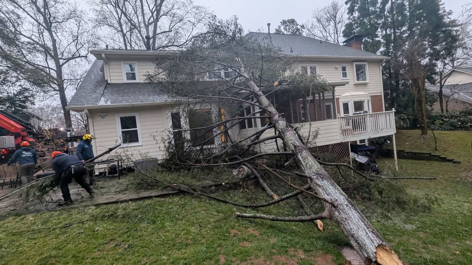 Storm-fallen pine on the back of a Roswell GA home with tree crew starting removal, January 2026