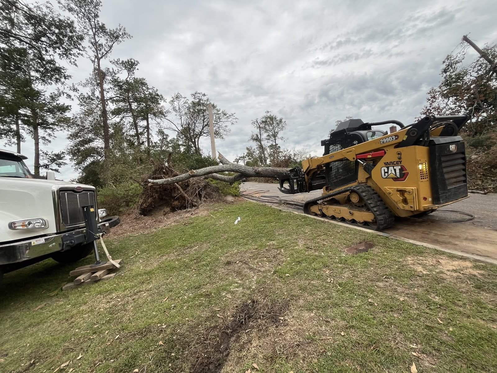 Skid steer with a grapple dragging an uprooted tree during storm cleanup
