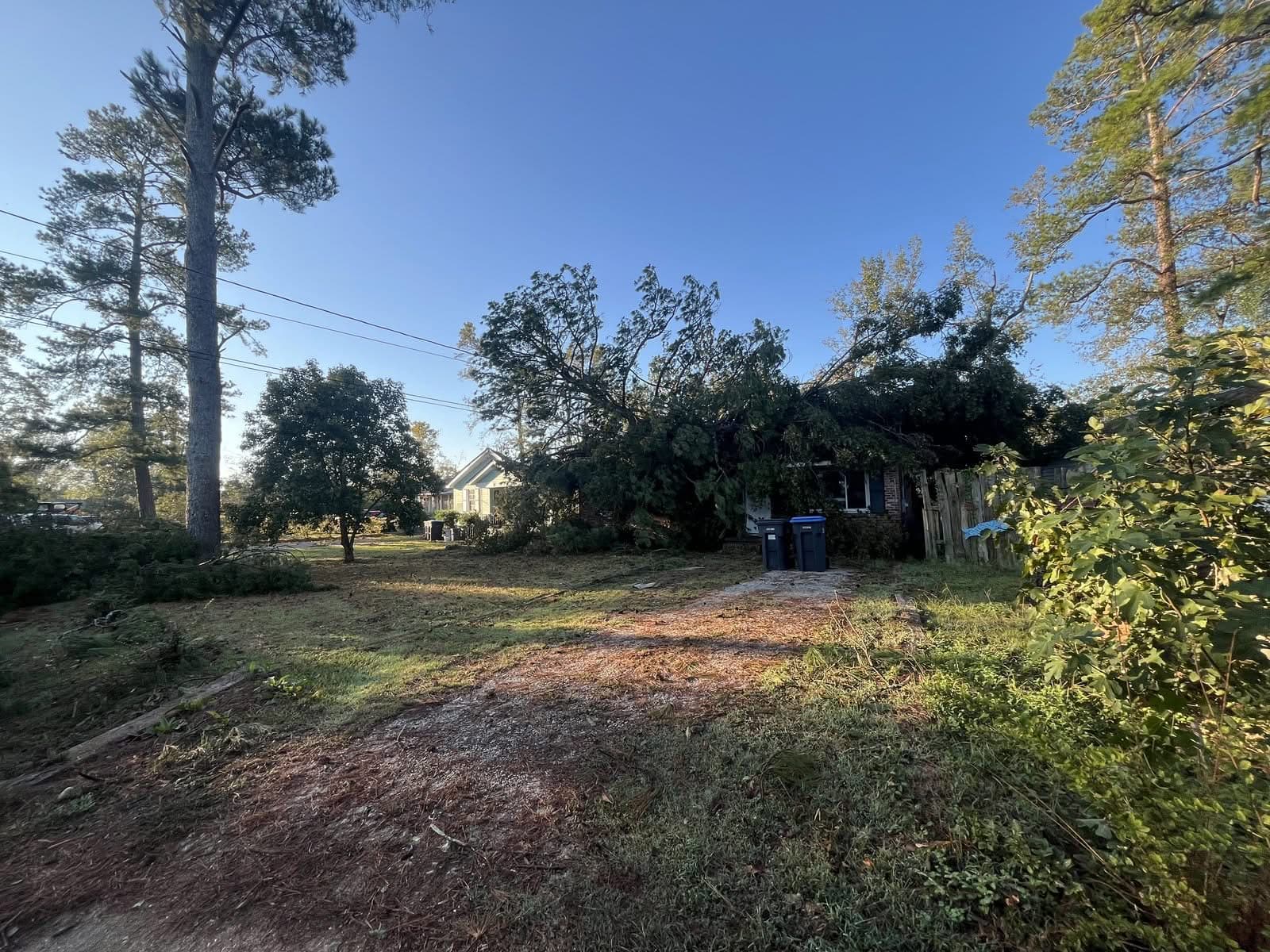 Large tree crown fallen over a house after storm damage, before removal