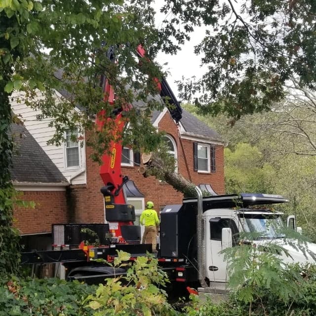 770 Arborist crane truck lifting a fallen tree off the roof of a two-story Atlanta home