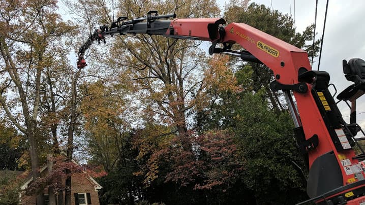 crane-1