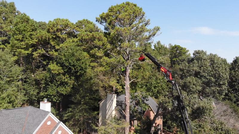 Crew performing emergency tree removal after storm in Atlanta neighborhood