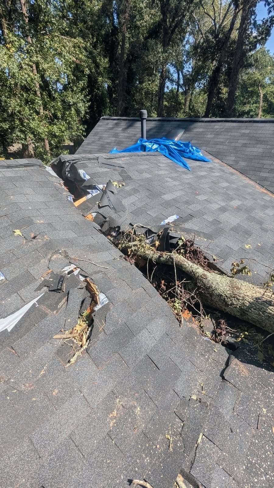 Tree limb punched through a shingle roof ridge during storm damage documentation