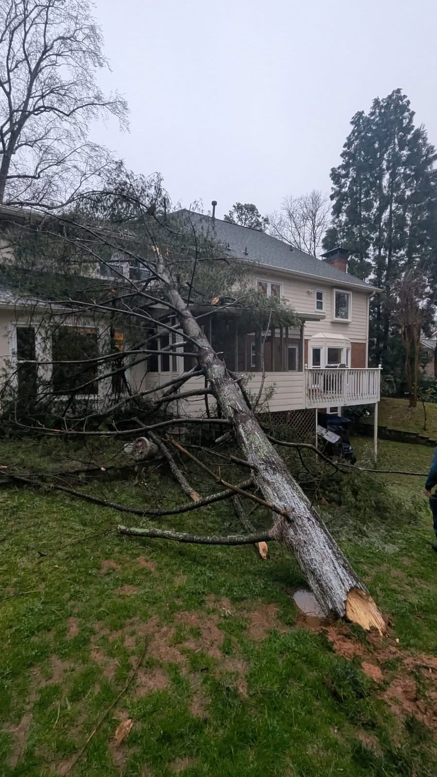 Snapped pine trunk sheared at the base and leaning against a Roswell GA house, January 2026
