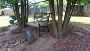 How to stop a tree stump from growing back?