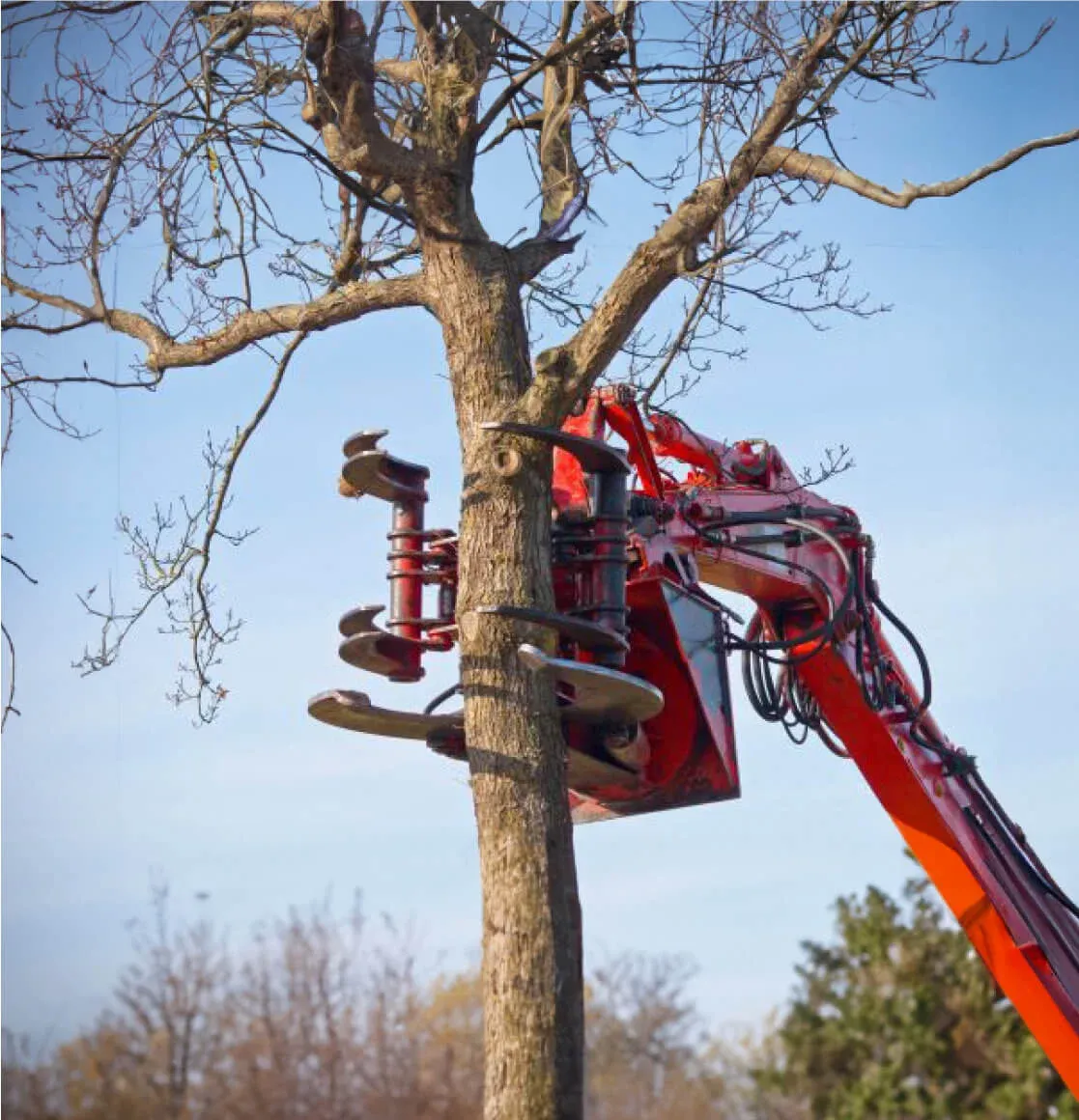 tree removal with crane in atlanta ga