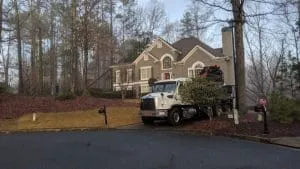 Emergency Tree Service in Johns Creek, GA