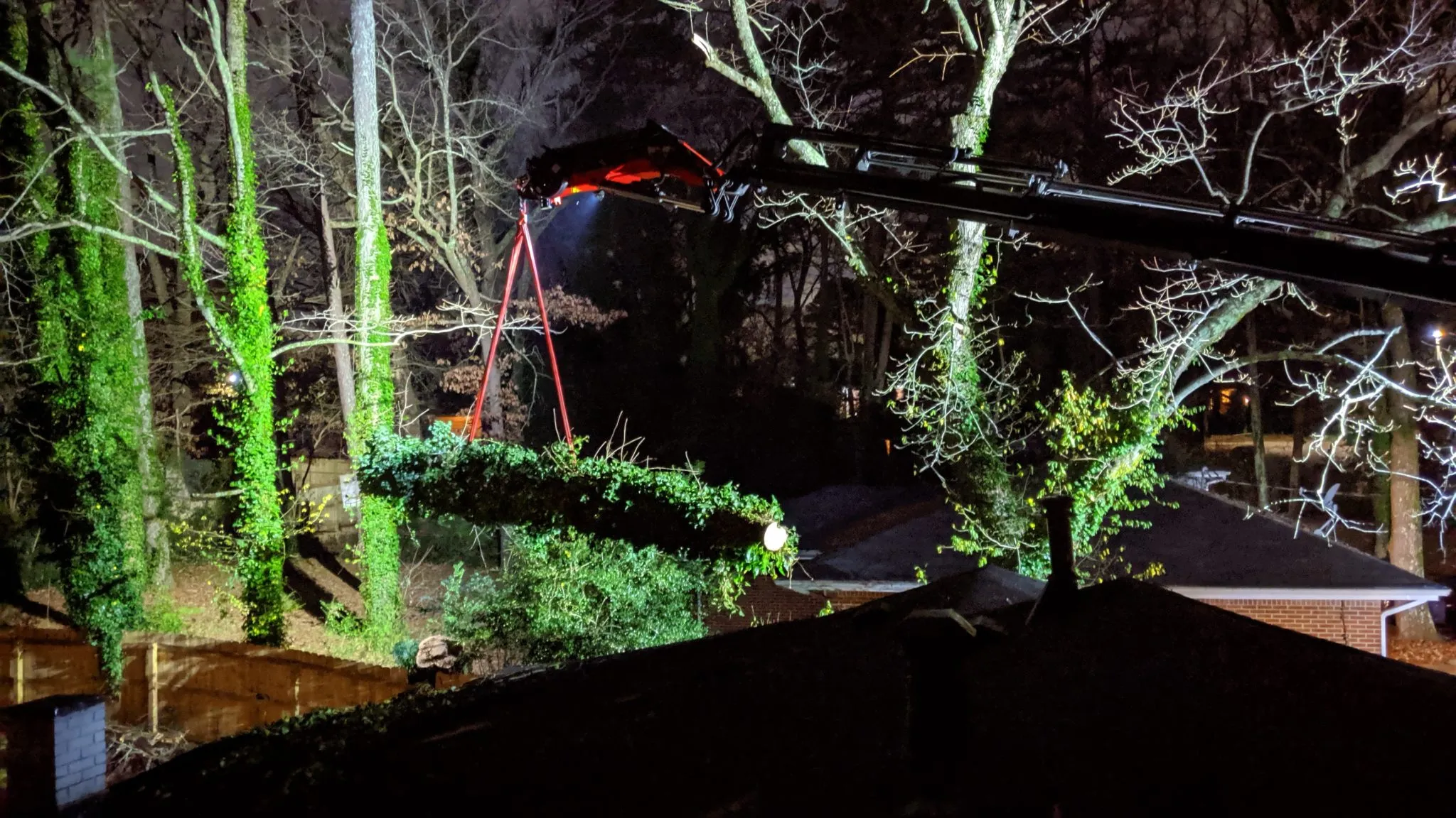 Tree service