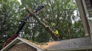 emergency tree service east point ga