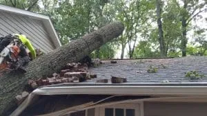 Tree Service Insurance in Atlanta