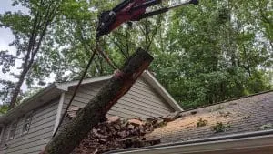 emergency tree crane service dunwoody ga