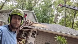 Emergency Tree Services in Duluth, GA