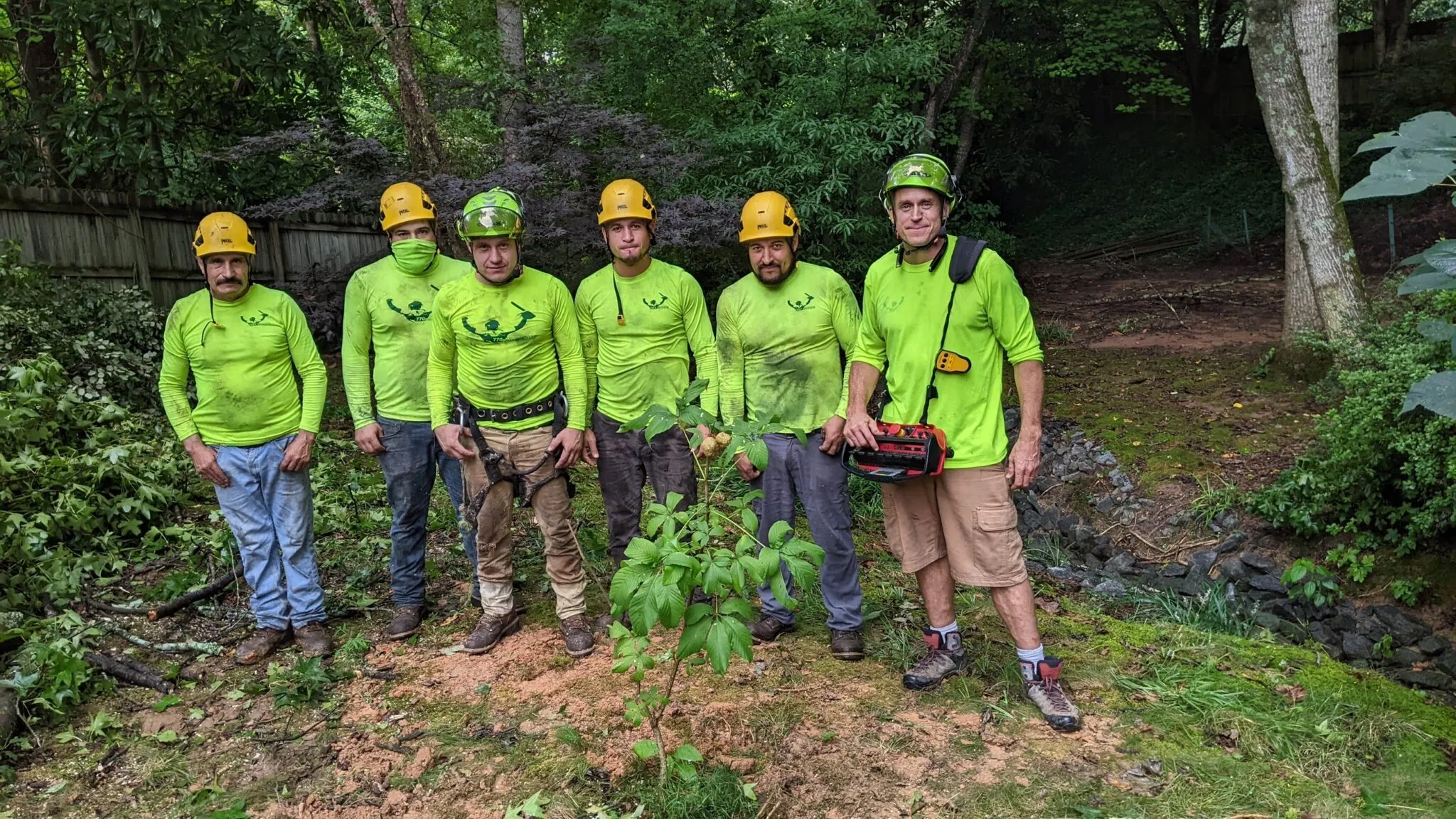 Arborist team