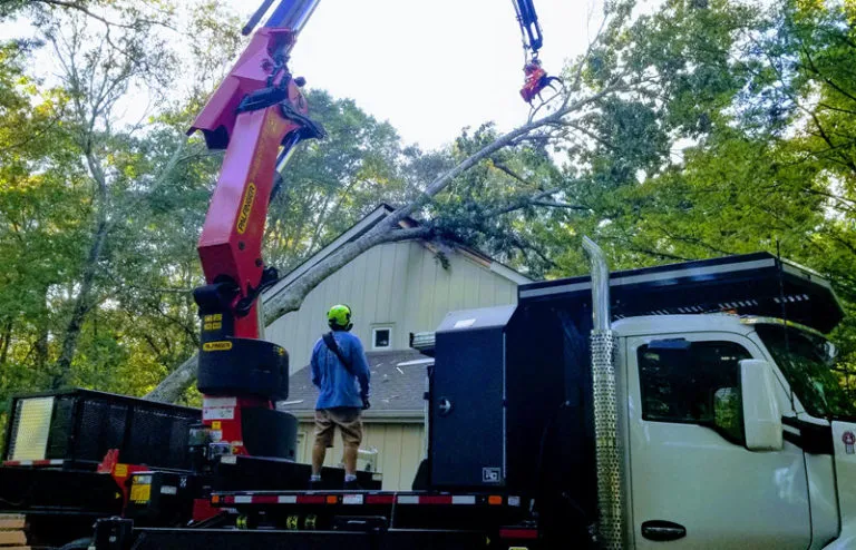 alpharetta-emergency-tree-removal-5b-768x494