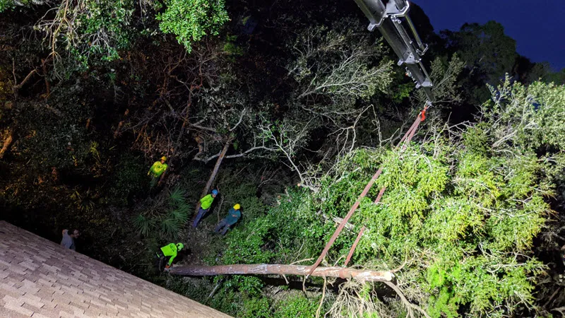 eastern-shore-al-emergency-tree-removal