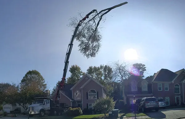 south-carolina-emergency-tree-removal-service