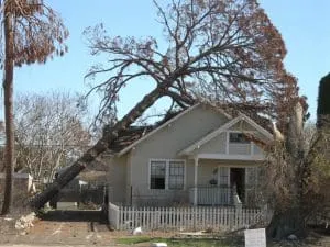 Emergency Tree Service in Kennesaw, GA