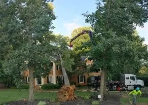 emergency tree service east point ga