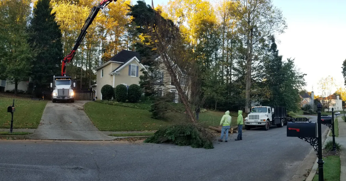 removing a tree with a crane in atlanta