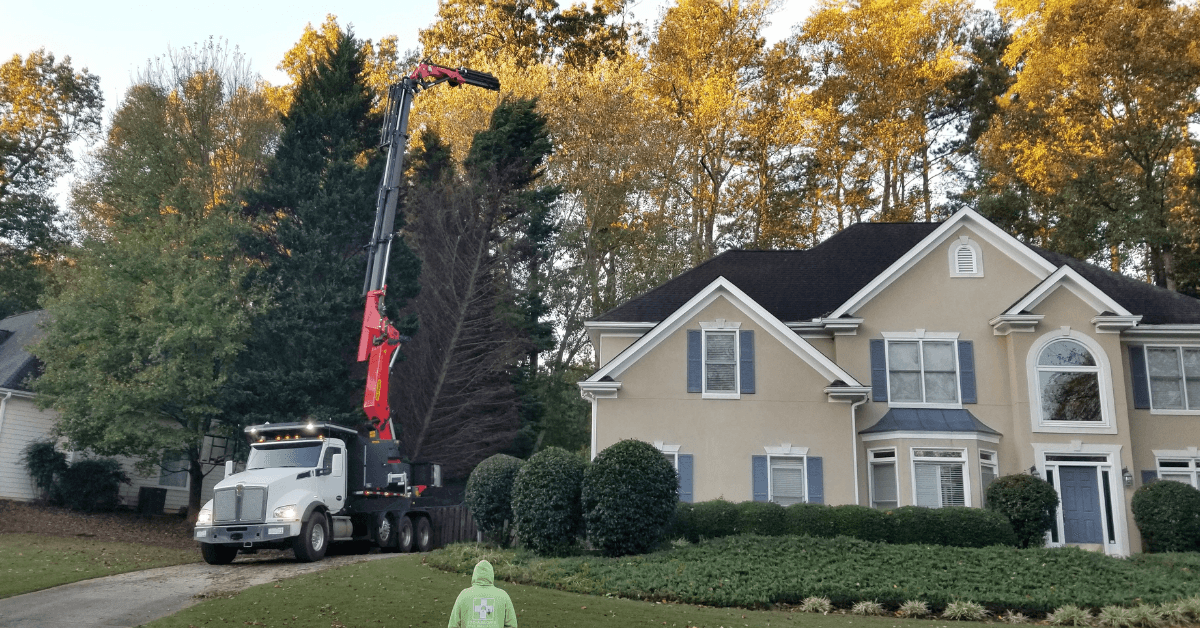 770 Arborist Emergency Tree & Crane Service gallery 3