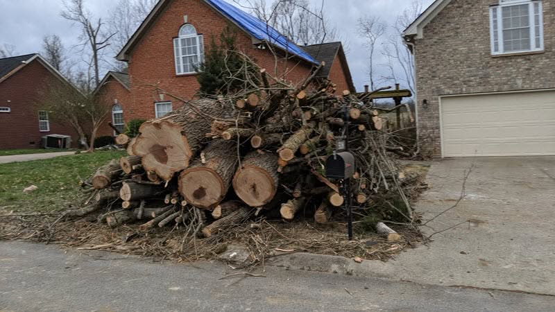 Atlanta emergency tree service cleaning up debris after heavy winds