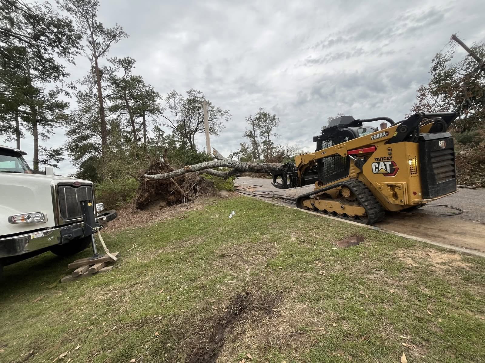 Skid steer with a grapple dragging an uprooted tree during storm cleanup