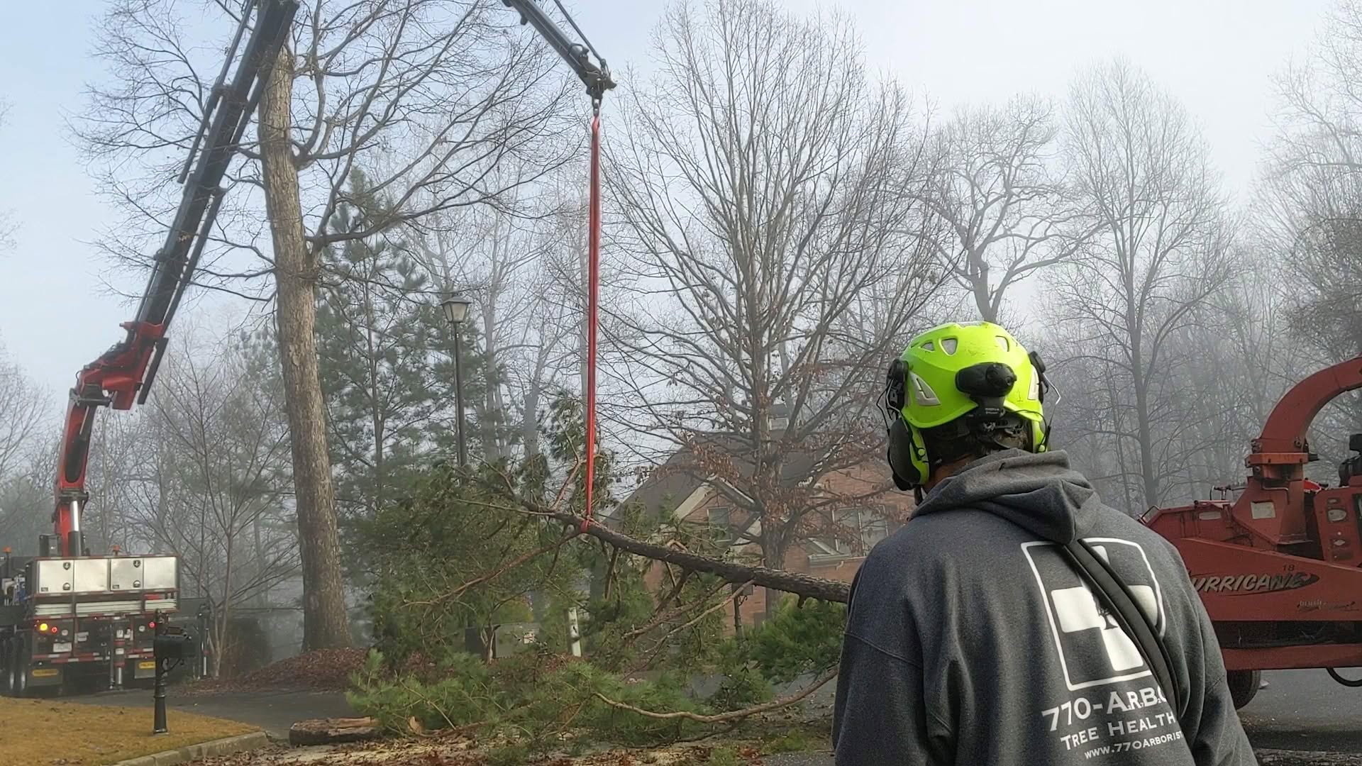 Crane lifting a tree section during residential tree removal