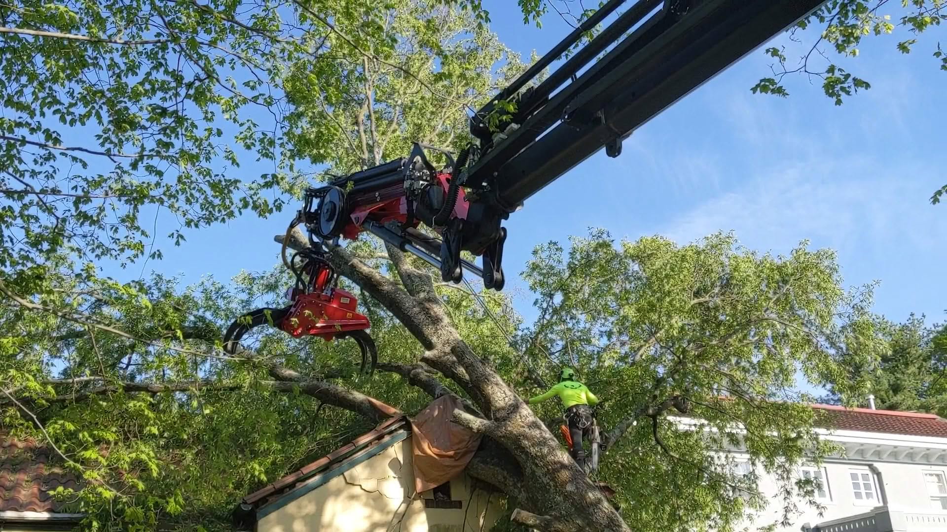 Grapple crane lifting a storm-damaged tree beside a house