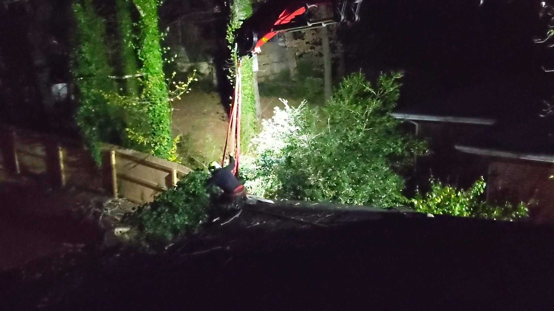 Arborist crew removing a storm-damaged tree at night